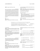 Recombinant antibody vector diagram and image