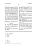 Recombinant antibody vector diagram and image