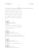 Recombinant antibody vector diagram and image