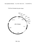 BIOLOGICAL PRODUCTS diagram and image