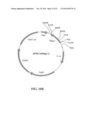 BIOLOGICAL PRODUCTS diagram and image