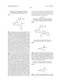 PYRROLOTRIAZINE KINASE INHIBITORS diagram and image