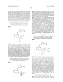 PYRROLOTRIAZINE KINASE INHIBITORS diagram and image