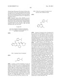 PYRROLOTRIAZINE KINASE INHIBITORS diagram and image