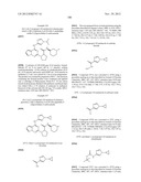 PYRROLOTRIAZINE KINASE INHIBITORS diagram and image