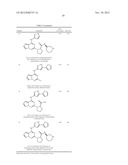 PYRROLOTRIAZINE KINASE INHIBITORS diagram and image