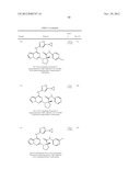 PYRROLOTRIAZINE KINASE INHIBITORS diagram and image