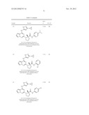 PYRROLOTRIAZINE KINASE INHIBITORS diagram and image