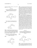 PYRROLOTRIAZINE KINASE INHIBITORS diagram and image