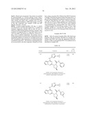 PYRROLOTRIAZINE KINASE INHIBITORS diagram and image