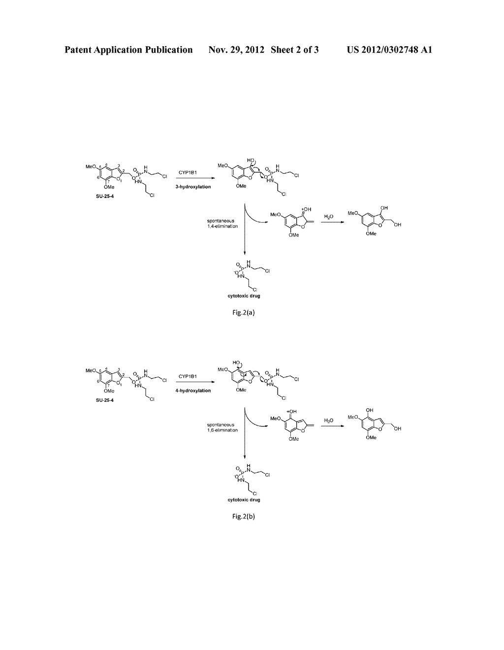 TREATMENT OR PROPHYLAXIS OF PROLIFERATIVE CONDITIONS - diagram, schematic, and image 03