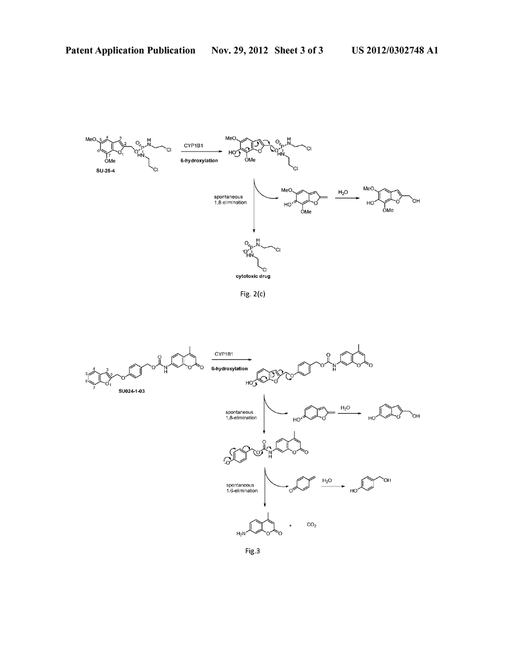 TREATMENT OR PROPHYLAXIS OF PROLIFERATIVE CONDITIONS - diagram, schematic, and image 04