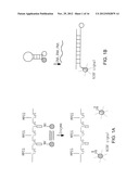 FLUORESCENCE-MEDIATED MOLECULAR TOMOGRAPHY diagram and image