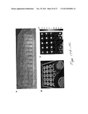 PORTABLE OPTICAL FIBER PROBE-BASED SPECTROSCOPIC SCANNER FOR RAPID CANCER     DIAGNOSIS diagram and image