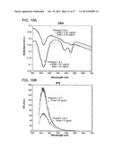 PORTABLE OPTICAL FIBER PROBE-BASED SPECTROSCOPIC SCANNER FOR RAPID CANCER     DIAGNOSIS diagram and image