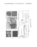 PORTABLE OPTICAL FIBER PROBE-BASED SPECTROSCOPIC SCANNER FOR RAPID CANCER     DIAGNOSIS diagram and image