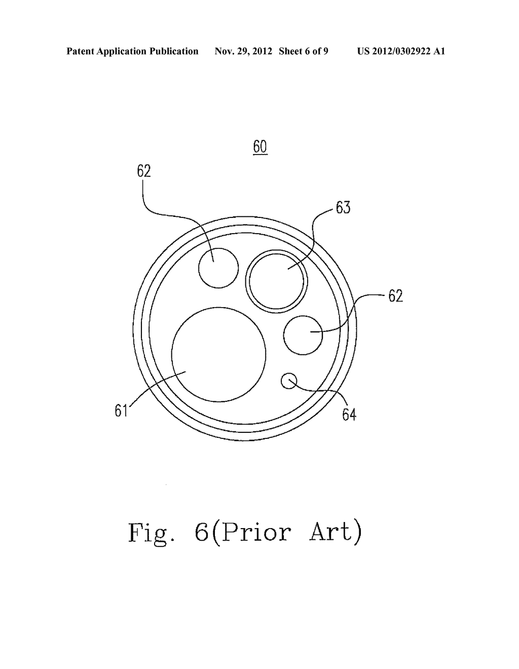 APPARATUS AND METHODS FOR IDENTIFYING A TISSUE INSIDE A LIVING BODY - diagram, schematic, and image 07