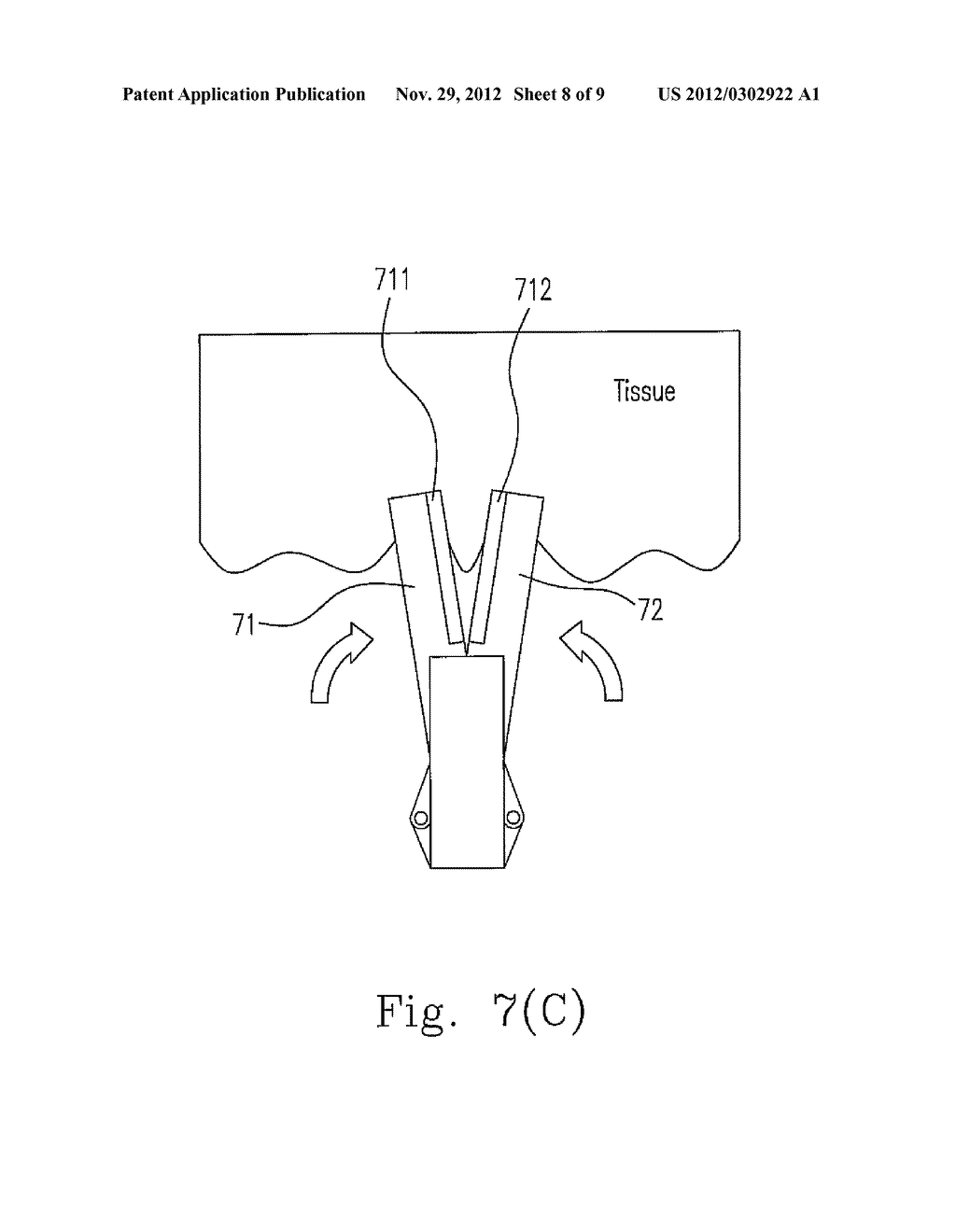 APPARATUS AND METHODS FOR IDENTIFYING A TISSUE INSIDE A LIVING BODY - diagram, schematic, and image 09