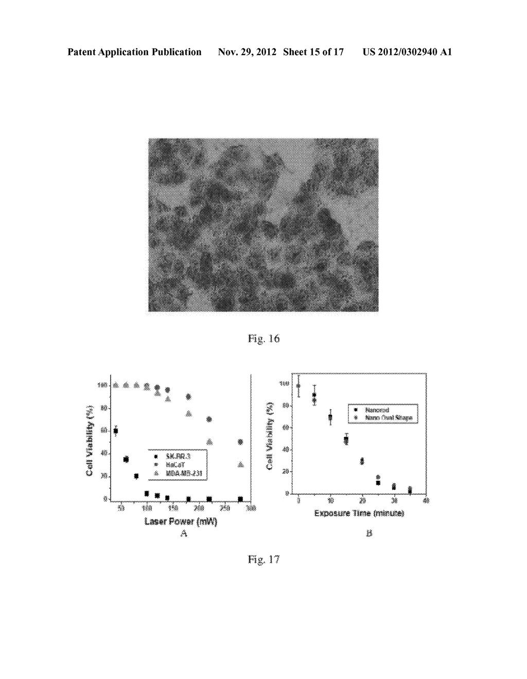 Popcorn Shape Gold Nanoparticle For Targeted Diagnosis, Photothermal     Treatment and In-Situ Monitoring Therapy Response for Cancer and Multiple     Drug Resistance Bacteria - diagram, schematic, and image 16