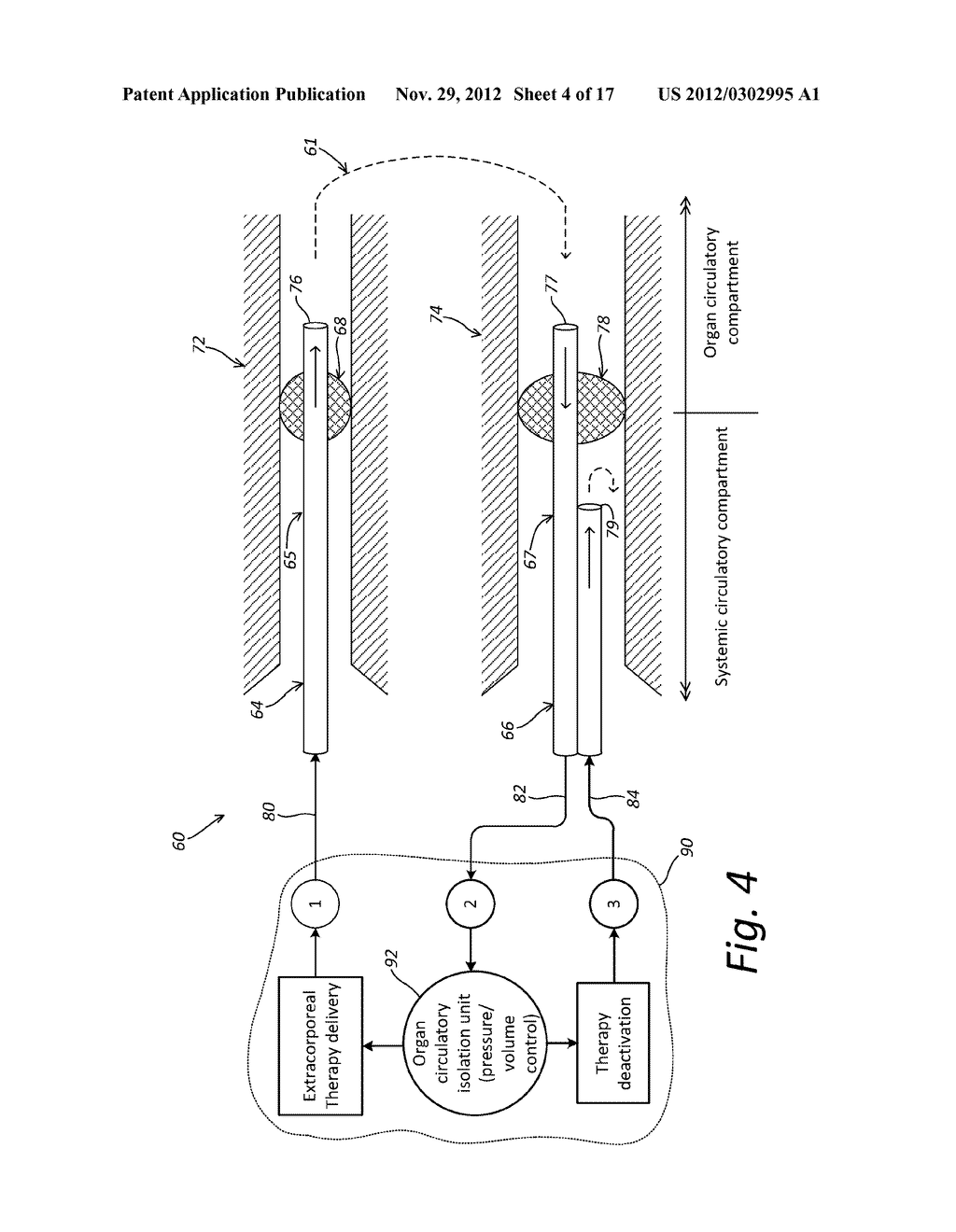 Localized Therapy Delivery and Local Organ Protection - diagram, schematic, and image 05