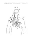 PARASYMPATHETIC NERVE STIMULATION diagram and image