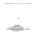 Polymerase Preference Index diagram and image