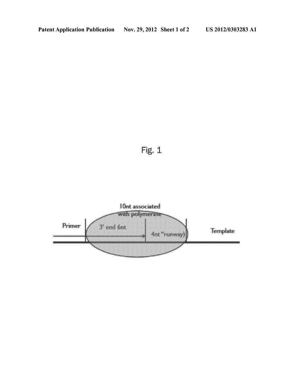 Polymerase Preference Index - diagram, schematic, and image 02