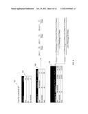 SYSTEMS AND METHODS FOR INFORMATION EXTRACTION USING CONTEXTUAL PATTERN     DISCOVERY diagram and image