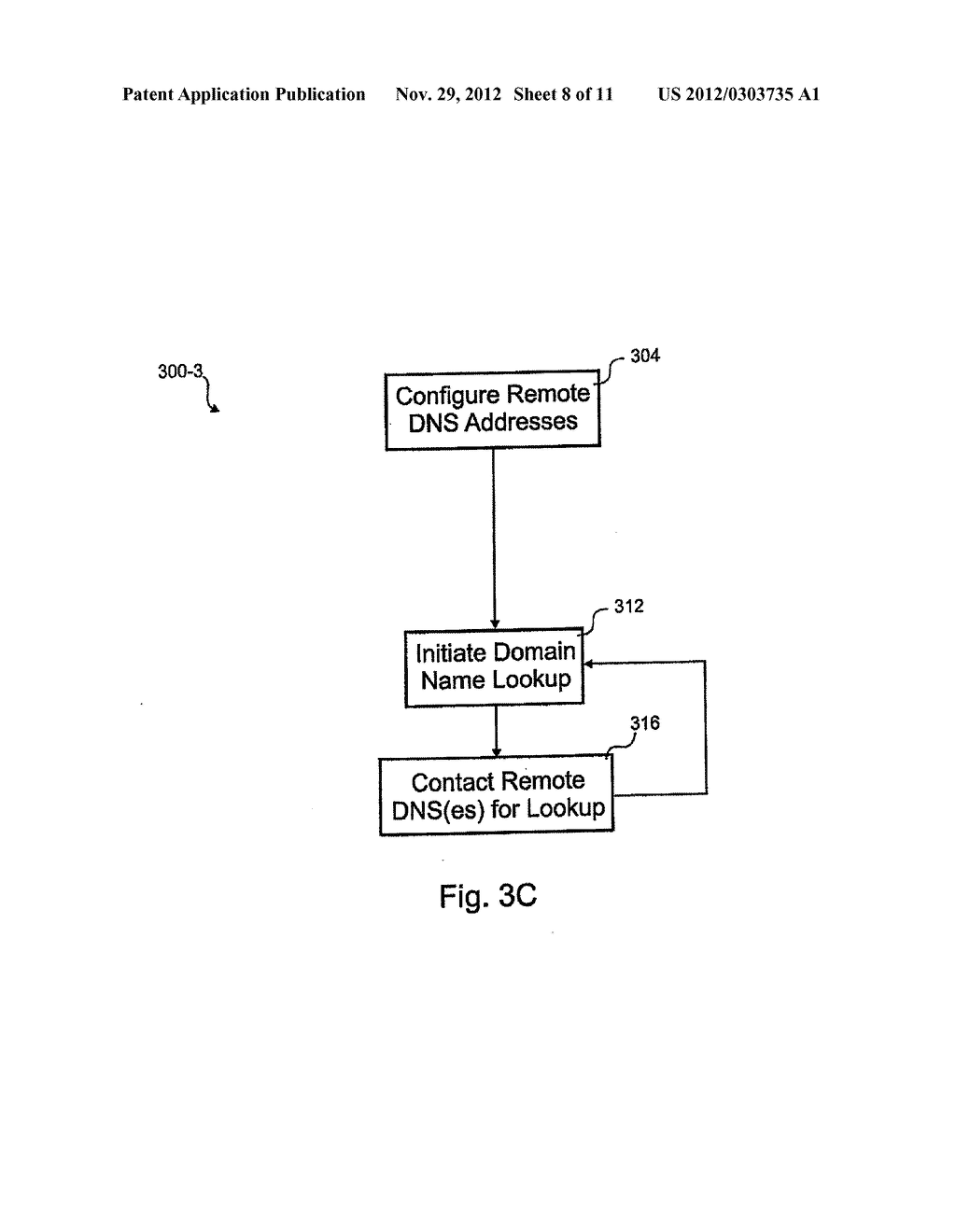 DOMAIN NAME SERVICE RESOLVER - diagram, schematic, and image 09