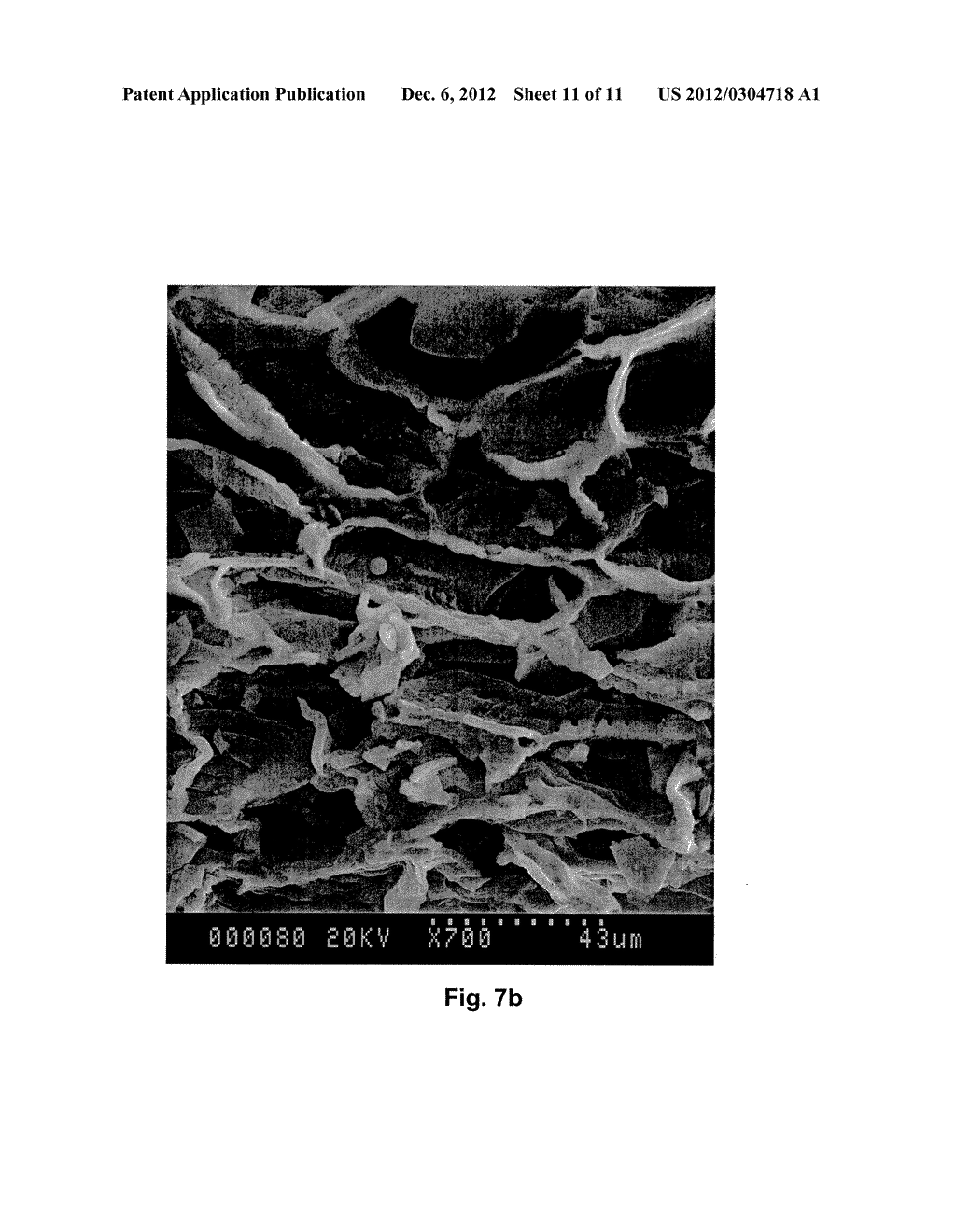 METHOD FOR ENHANCING SOIL GROWTH USING BIO-CHAR - diagram, schematic, and image 12