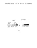 Method of Applying Phase Transition Materials to Semi-Porous, Flexible     Substrates Used to Control Gas Permeability diagram and image