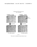 Method of Applying Phase Transition Materials to Semi-Porous, Flexible     Substrates Used to Control Gas Permeability diagram and image