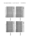 SOLAR CELL AND SOLAR CELL MANUFACTURING METHOD diagram and image