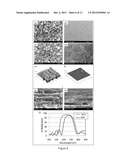 TRANSPARENT CONDUCTIVE POROUS NANOCOMPOSITES AND METHODS OF FABRICATION     THEREOF diagram and image