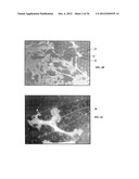 IMPLANTABLE MATERIALS HAVING ENGINEERED SURFACES AND METHOD OF MAKING SAME diagram and image