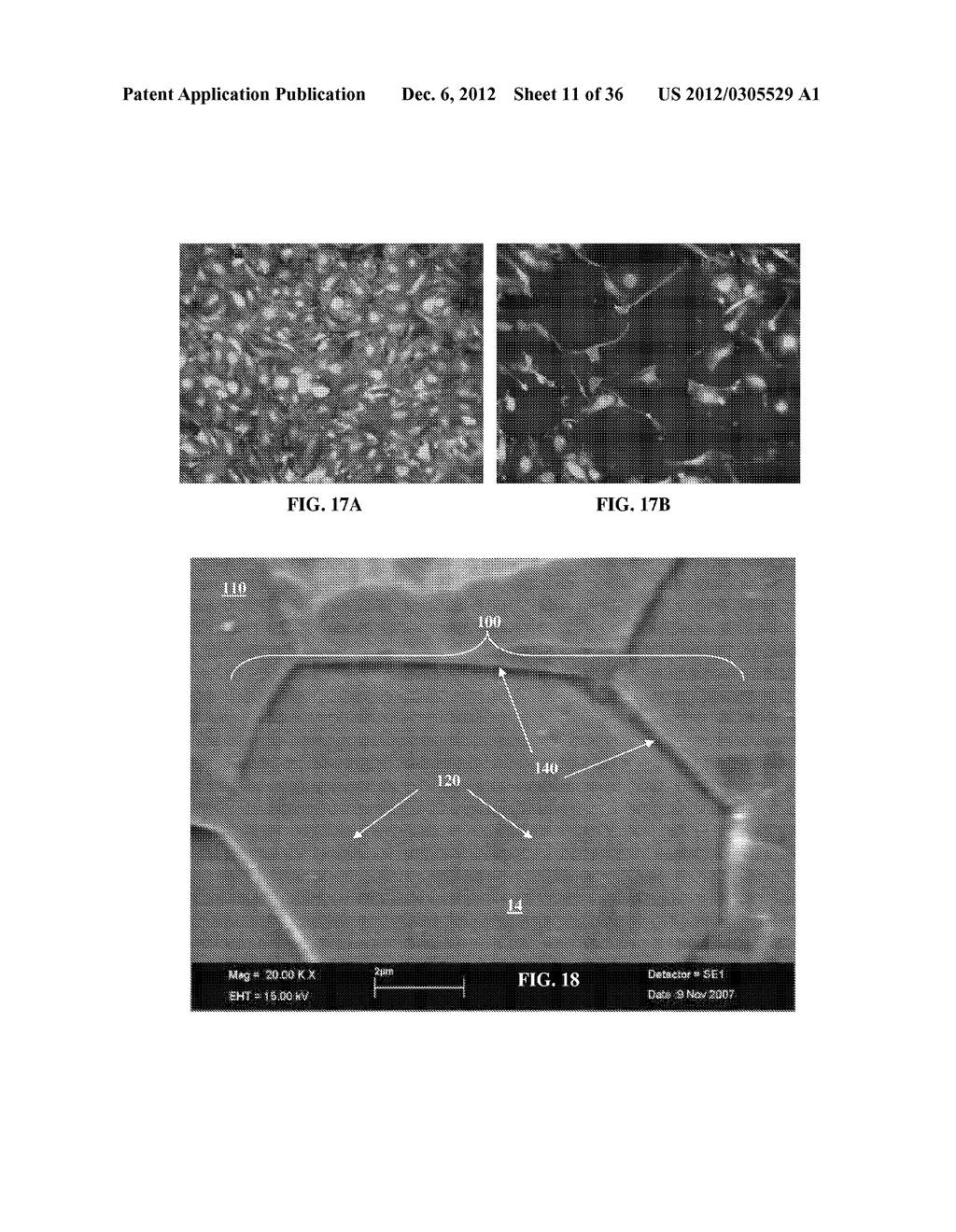 IMPLANTABLE MATERIALS HAVING ENGINEERED SURFACES AND METHOD OF MAKING SAME - diagram, schematic, and image 12