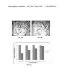 IMPLANTABLE MATERIALS HAVING ENGINEERED SURFACES AND METHOD OF MAKING SAME diagram and image