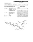 Pipe-Passivating Alkali-Injecting Device for a Nuclear Plant diagram and image