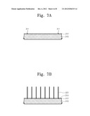 NANO PIEZOELECTRIC DEVICE HAVING A NANOWIRE AND METHOD OF FORMING THE SAME diagram and image