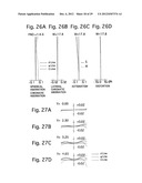 ZOOM LENS SYSTEM AND OPTICAL INSTRUMENT USING THE SAME diagram and image