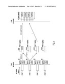 Dynamic Flow Segregation for Optimal Load Balancing Among Ports in an     Etherchannel Group diagram and image