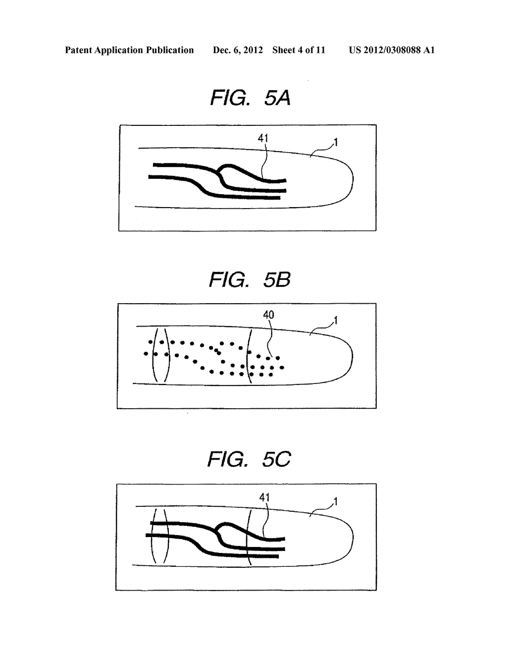 PERSONAL IDENTIFICATION DEVICE AND METHOD - diagram, schematic, and image 05