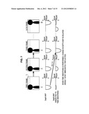 IMAGE PROCESSING APPARATUS, IMAGE PROCESSING METHOD, AND PROGRAM diagram and image