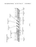 Lateral Flow Immunoassay for Detecting Cardiac Troponin I and Myoglobin diagram and image