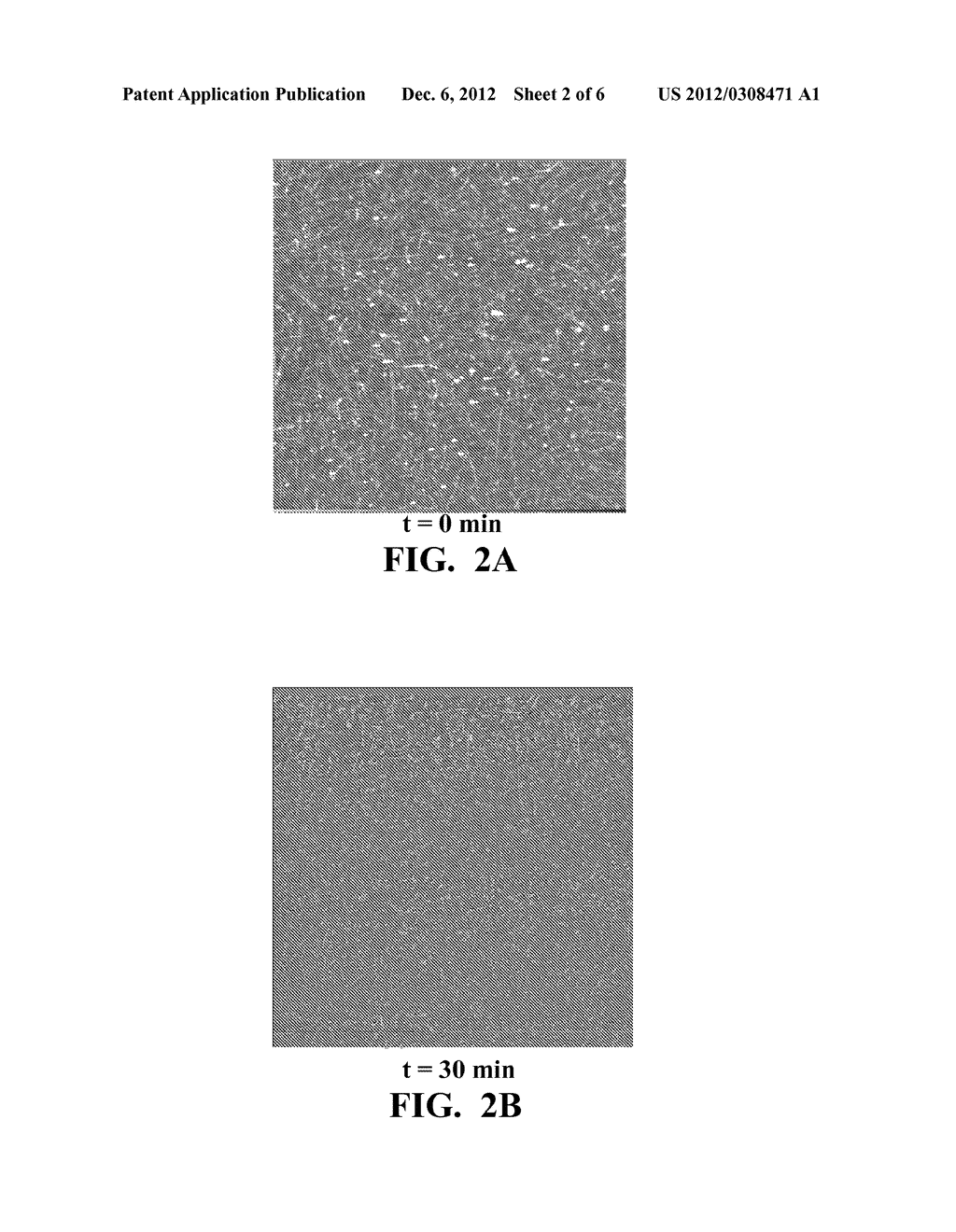 SELECTIVE ETCHING OF SINGLE WALLED CARBON NANOTUBES - diagram, schematic, and image 03