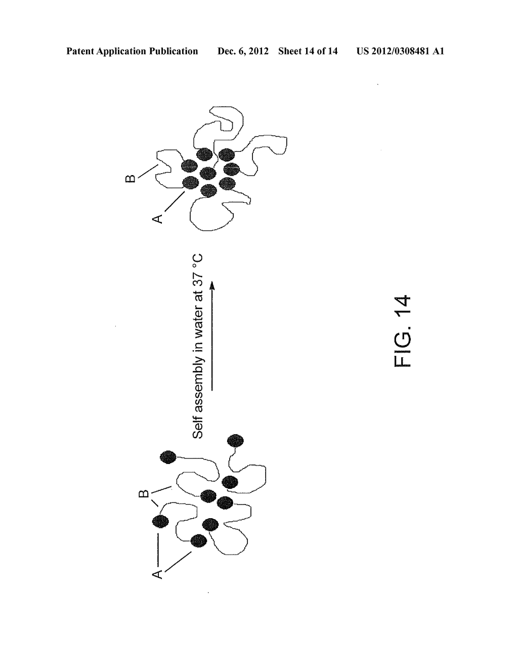 RADIO-OPAQUE COMPOUNDS, COMPOSITIONS CONTAINING SAME AND METHODS OF THEIR     SYNTHESIS AND USE - diagram, schematic, and image 15