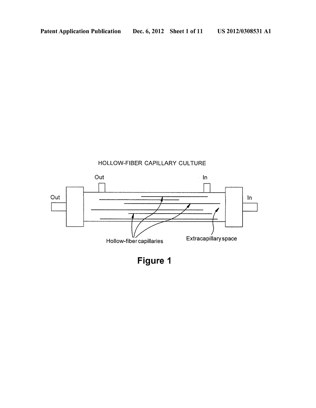 Expansion of Stem Cells in Hollow Fiber Bioreactors - diagram, schematic, and image 02