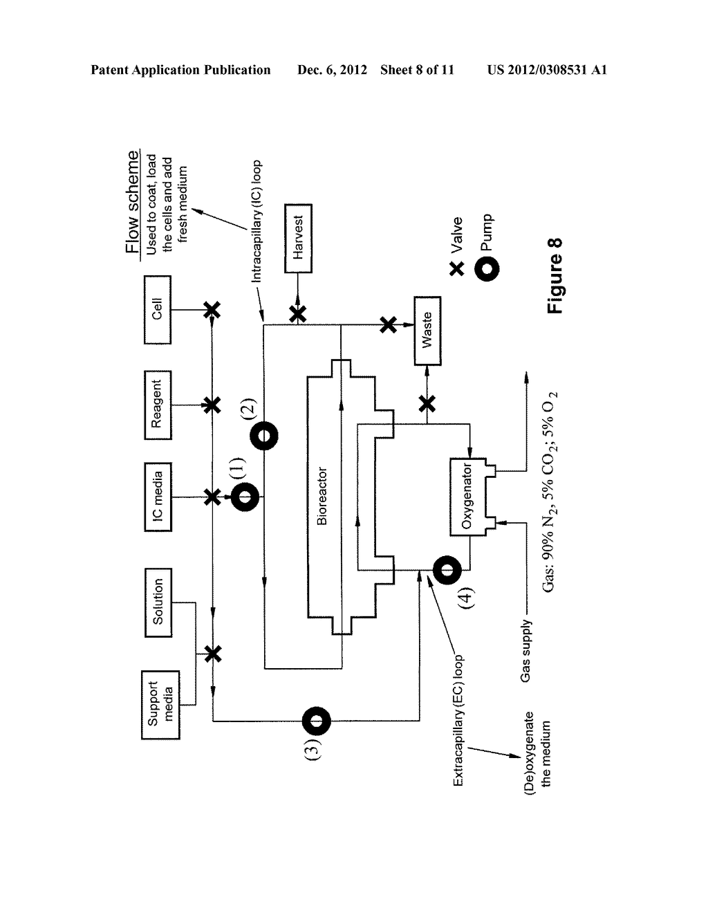 Expansion of Stem Cells in Hollow Fiber Bioreactors - diagram, schematic, and image 09