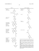 COMPOSITION FOR THE TREATMENT OF A BONE FRACTURE diagram and image