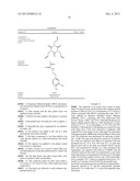 COMPOSITION FOR THE TREATMENT OF A BONE FRACTURE diagram and image